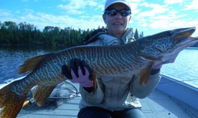 Walleye fishing packages — Manotak Lodge – Manotak Lodge