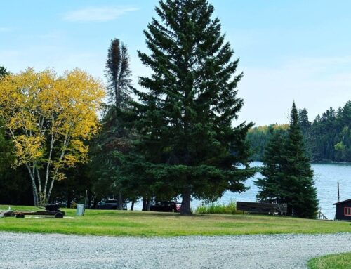 Immerse Yourself in the Fall Foliage While Fishing in Ontario