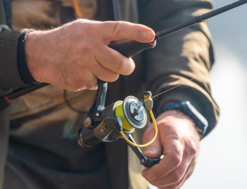Reasons To Take a Last Minute Trip to NW Ontario Fishing Lodges