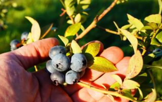 Manotak Lodge Fishing Trip Enhancements