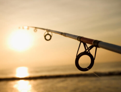 Why Manotak Lodge Tops the List for Canada Fishing Trips